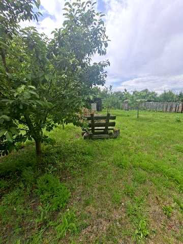 Продам дачу біля лісу