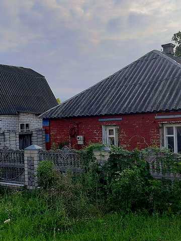 Продам будинок в селі Довжик