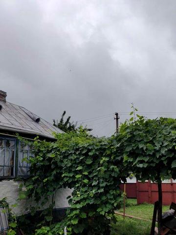 Здам в оренду сучасний будинок в селі, 1 година від Києва