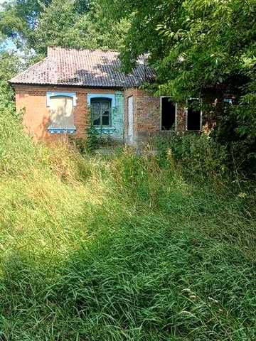 Продам будинок с.Дашківці (9842)