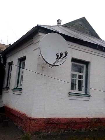 Продам будинок в м.Гадяч .Заяр