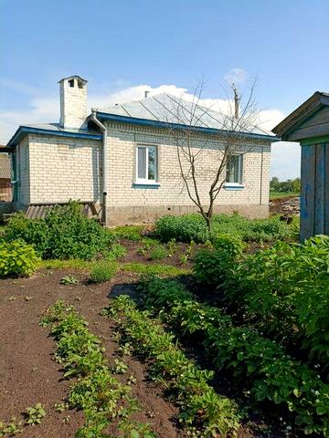 Здам будинок в с. Смолянка Чернігівської області