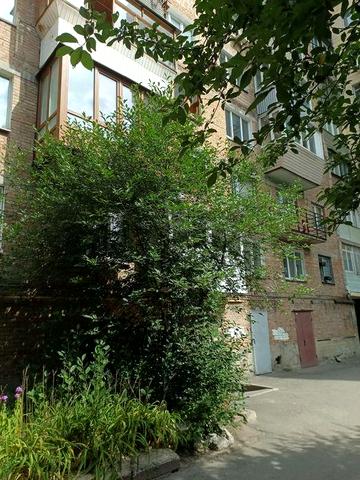 Здам квартиру однокімнатну Голосіївський проспект 89