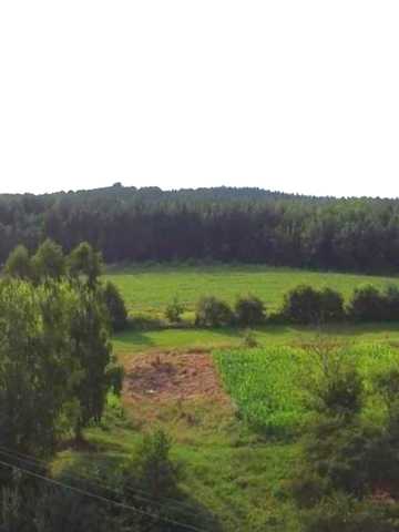 Центральна, 1