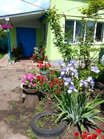 Продам будинок в с. Малківка Прилуцького р-ну