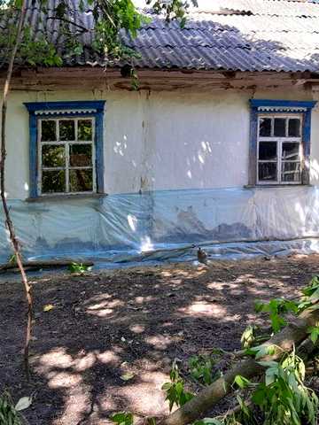 Продається будинок.  Рогізно. 46сотих землі.  Київська обл. Приватизованих. Дерев'яний, глина.