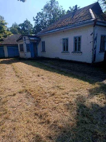 Будинок село Гречанівка Золотоніський (Драбівський ) район Черкаська область