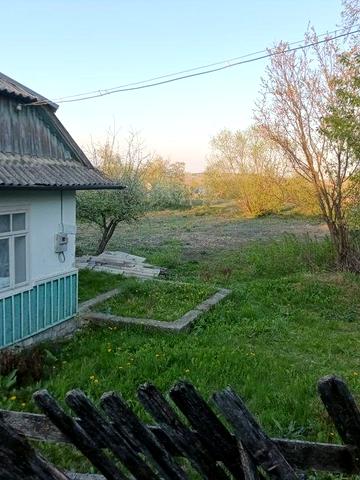 Ціна договірна ціна договірна
