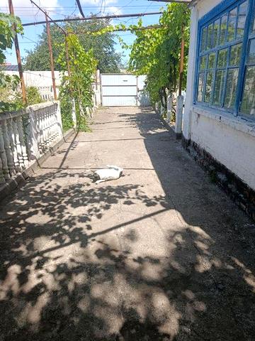 Продается дом в  г.Апостолово