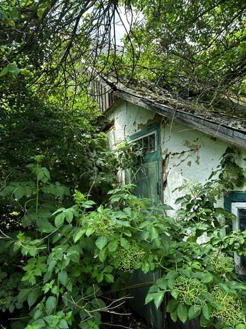 Продам хату з землею під город 35сот. в селі
