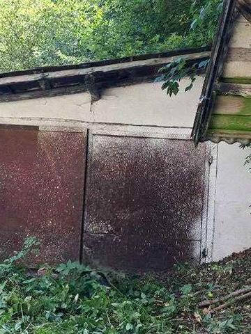 житловий будинок і земельна ділянка 0,25 гектара
