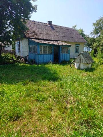 Будинок і земельна ділянка смт. Ємільчине, вул. Соборна 98