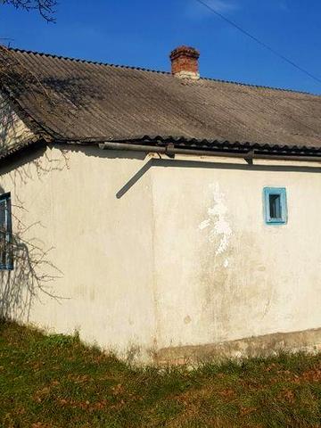 Будинок в оренду