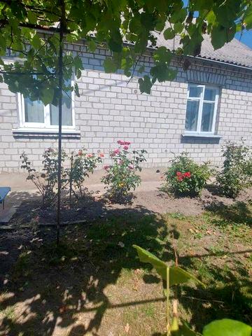 Продається будинок м. Звягель р-н пельменної, пров. Дальній.