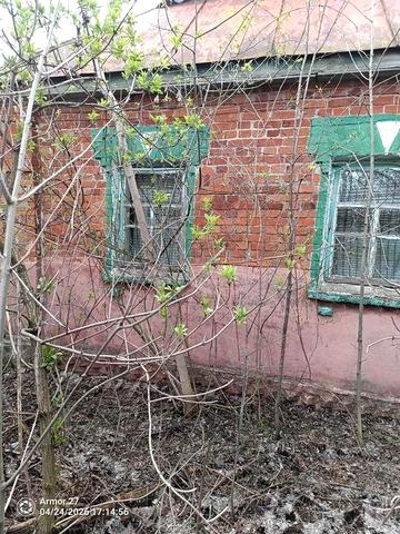 Продам хозяйство с.Перетічки Роменський район. Під розбір