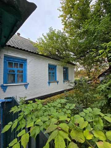 Центральна