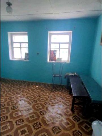 Здам будинок в довгострокову оренду (від 1 року) Борзна
