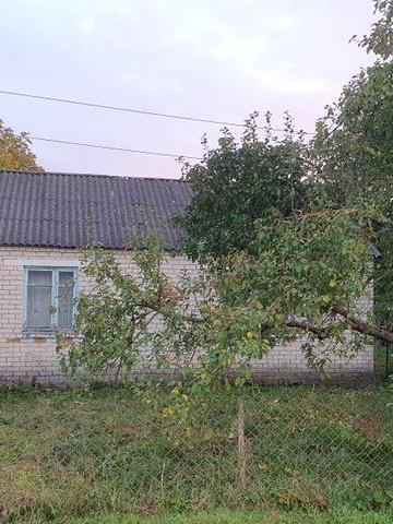 Продам будинок садибного типу