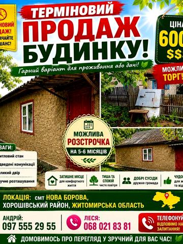 Продам будинок в новій боровій.