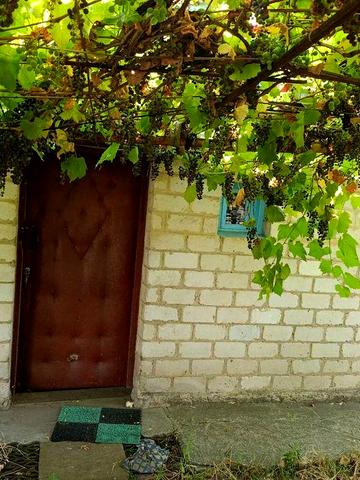 Здам будинок в Олександрії.