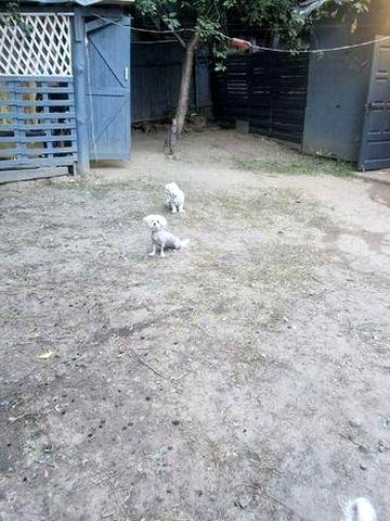 Сдам будинок Центр
