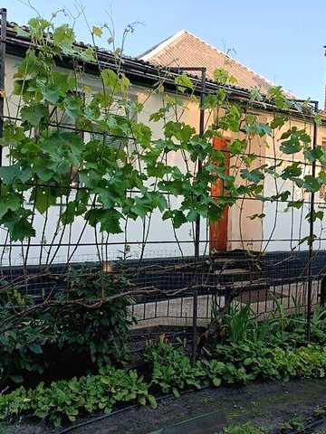 Продаж 4к Дім Корсунський (Разіна Степана) провулок