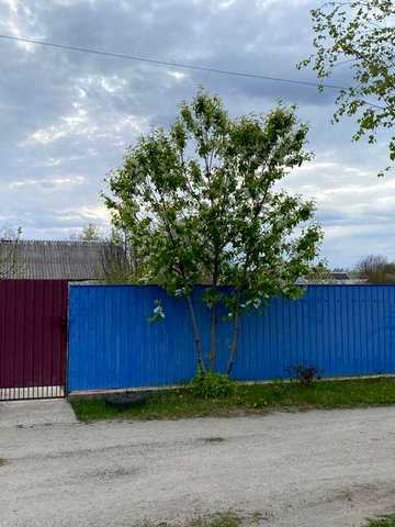 Продається будинок