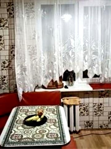 Сдам 1-комнатную на Таирова,Левитана 119,ГАЗ
