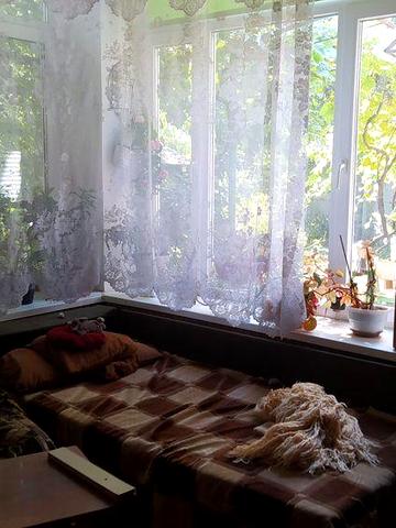 Дом на Каманина. Большой участок.