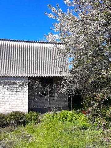 Продам дачу в с/т Машинобудівник
