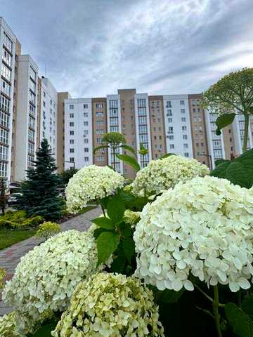 Торг! Краща пропозиція. Квартира Чабани 55м ЖК Чабани-2