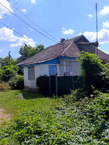 None 20000 USD