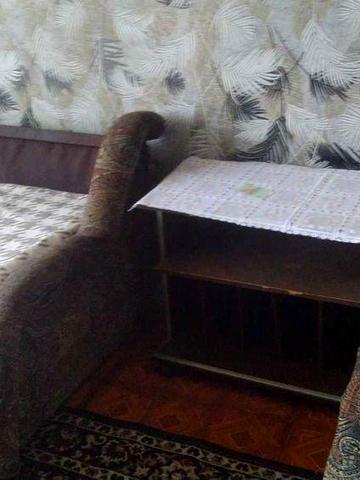 Здам 1 кімнатну квартиру,вул Гродненська,29     7000грн.+ком.
