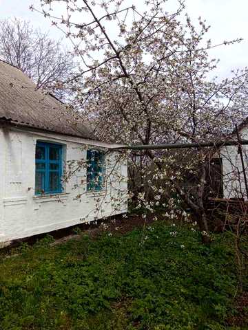 Продам будинок з великим городом та господарськими будівлями
