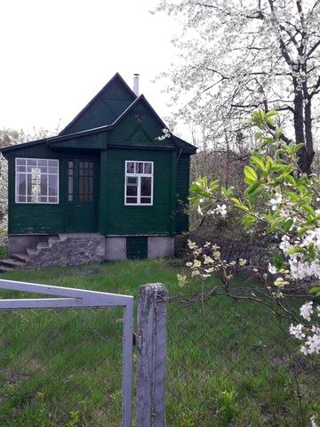 Дача в Каневе Зеленая горка