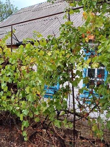 Продам будинок в с.м.т. Петрове