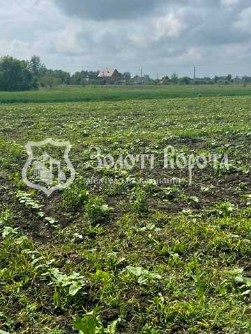 Старокиївська, 103