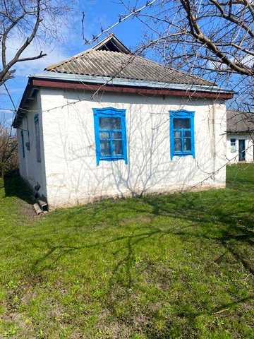 Будинок з великою ділянкою в с. Кононівка
