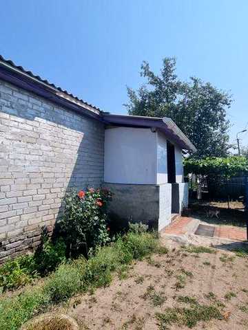 Продається гарна садиба в с.Ладинка (р.Десна +сосновий ліс).