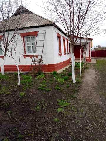 Продам будинок житні гори