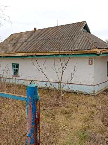 Продається будинок із земельною ділянкою