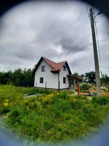 Абрикосова