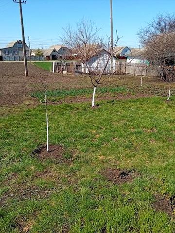 Доглянутий будинок поруч з центром. Власник