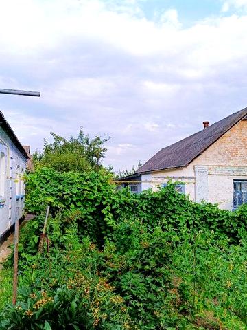 Продам газифікований будинок в м.Погребище,ділянка 16 соток.Власник!