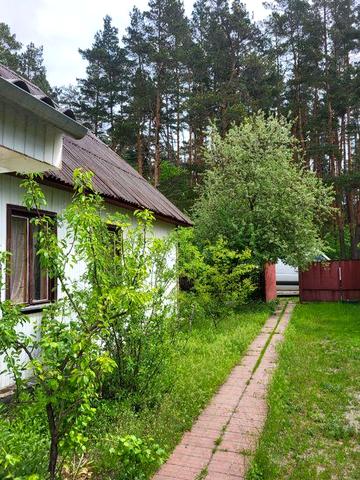 Продається газифікований будинок від власника в мальовничому с.Кодра Київська область