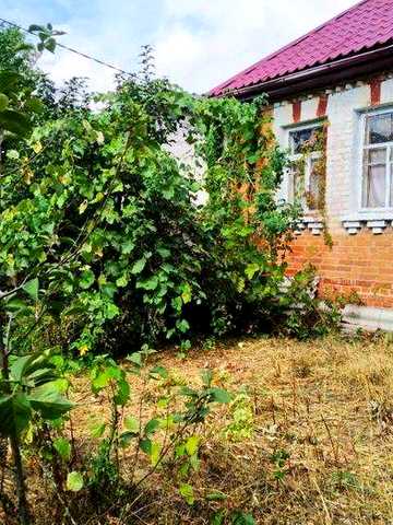 Продам будинок в с. Литвинівка, Вишгородський р-н