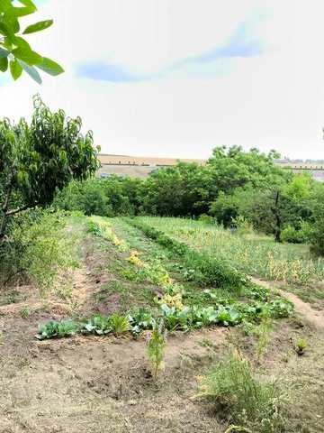 Продам будинок у селі Грушівка Первомайської ОТГ Миколаївської області