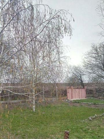 дом, дача ст Маяк, Ямбург, Днепровое