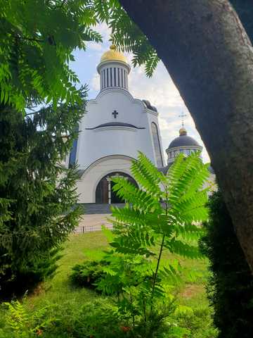 Дмитра Луценка вул. (Крейсера "Аврора"), 9