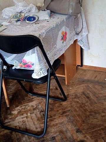 Довгострокова оренда 1к Квартира Ріхтера Святослава вулиця